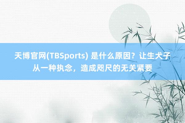 天博官网(TBSports) 是什么原因？让生犬子从一种执念，造成咫尺的无关紧要
