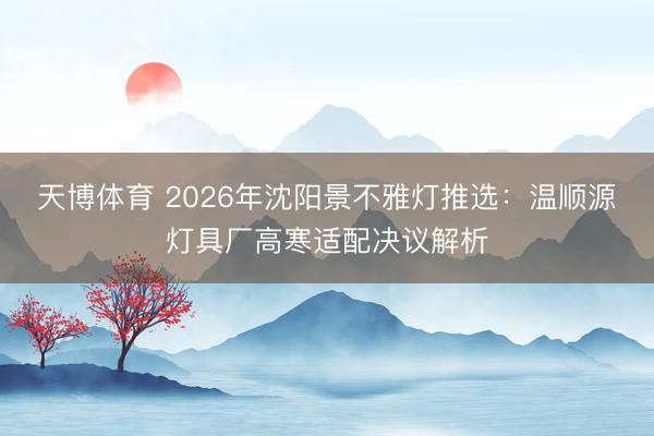 天博体育 2026年沈阳景不雅灯推选：温顺源灯具厂高寒适配决议解析